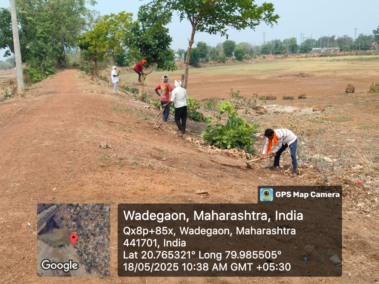 सीमावृक्ष योजनेअंतर्गत रोपे